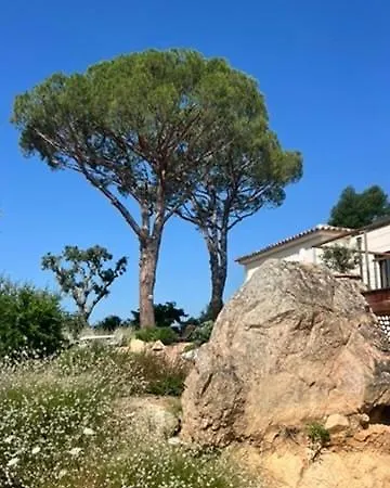 Marina Di Fiori Vue - Vecchio